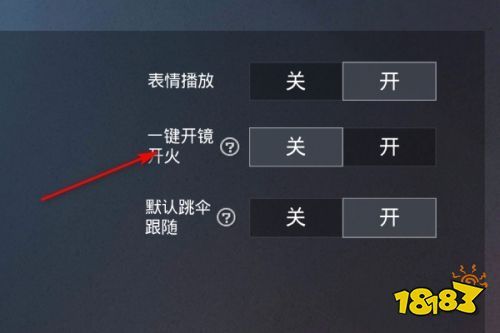 和平精英辅助【火焰鸟直装V6.0终极修复版】射线透视 准星聚点 空投透视 人物变大 显示手持 透视雷达